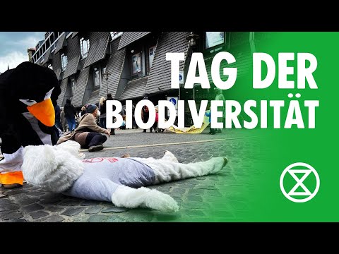 Tag der Biodiversität | XR Braunschweig