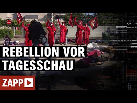 Extinction Rebellion: Medien als Gegner? | ZAPP | NDR