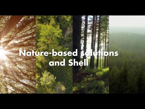 Nature-based solutions and Shell | New Energies