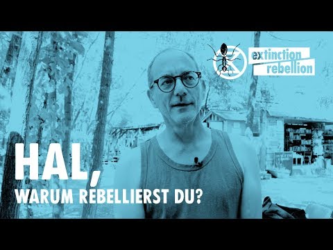 Hal, warum rebellierst du?