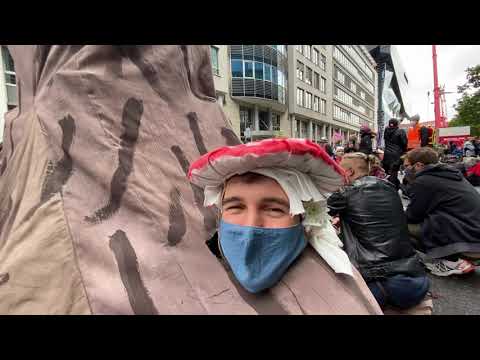 Statement von einem Pilz 🍄 vor deges während der Rebellion Wave 🌊 von  ExtinctionRebellion 9.10.20