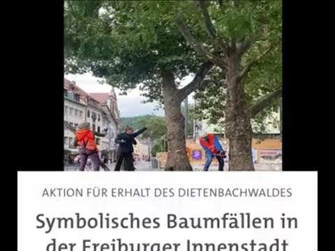 XR Freiburg Aktion #Dietibleibt  - solidarische Baumfällung