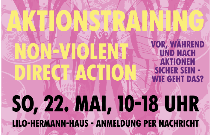 Aktionstraining - non violent - Direct Action
