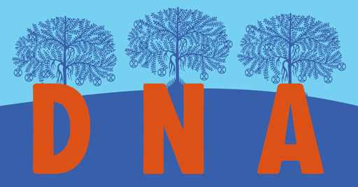 Einladung zum DNA-Training 🧬