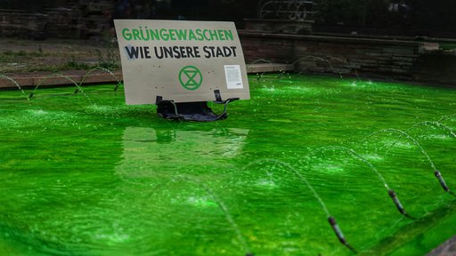 Grüngewaschenes Heidelberg