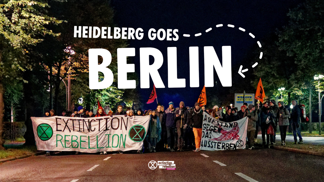 Heidelberg goes Berlin