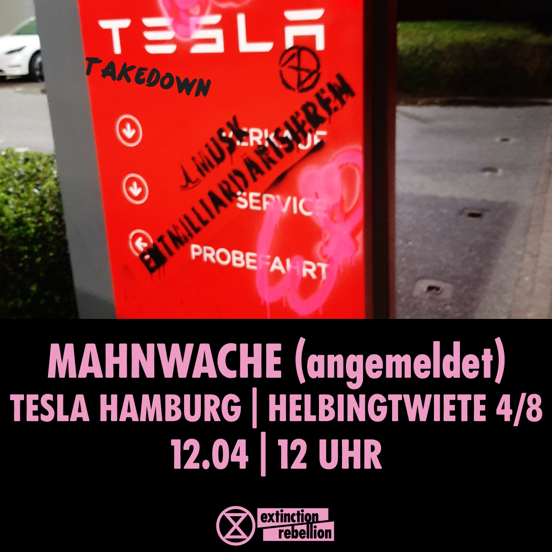 Mahnwache - Tesla take down