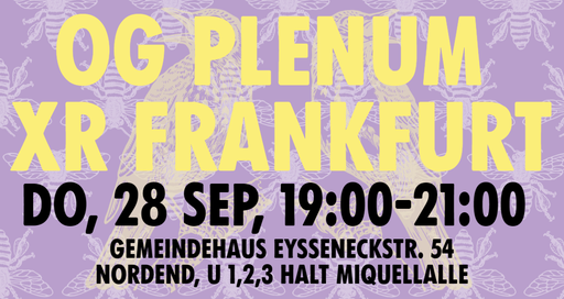 Frankfurt Ortsgruppen-Plenum