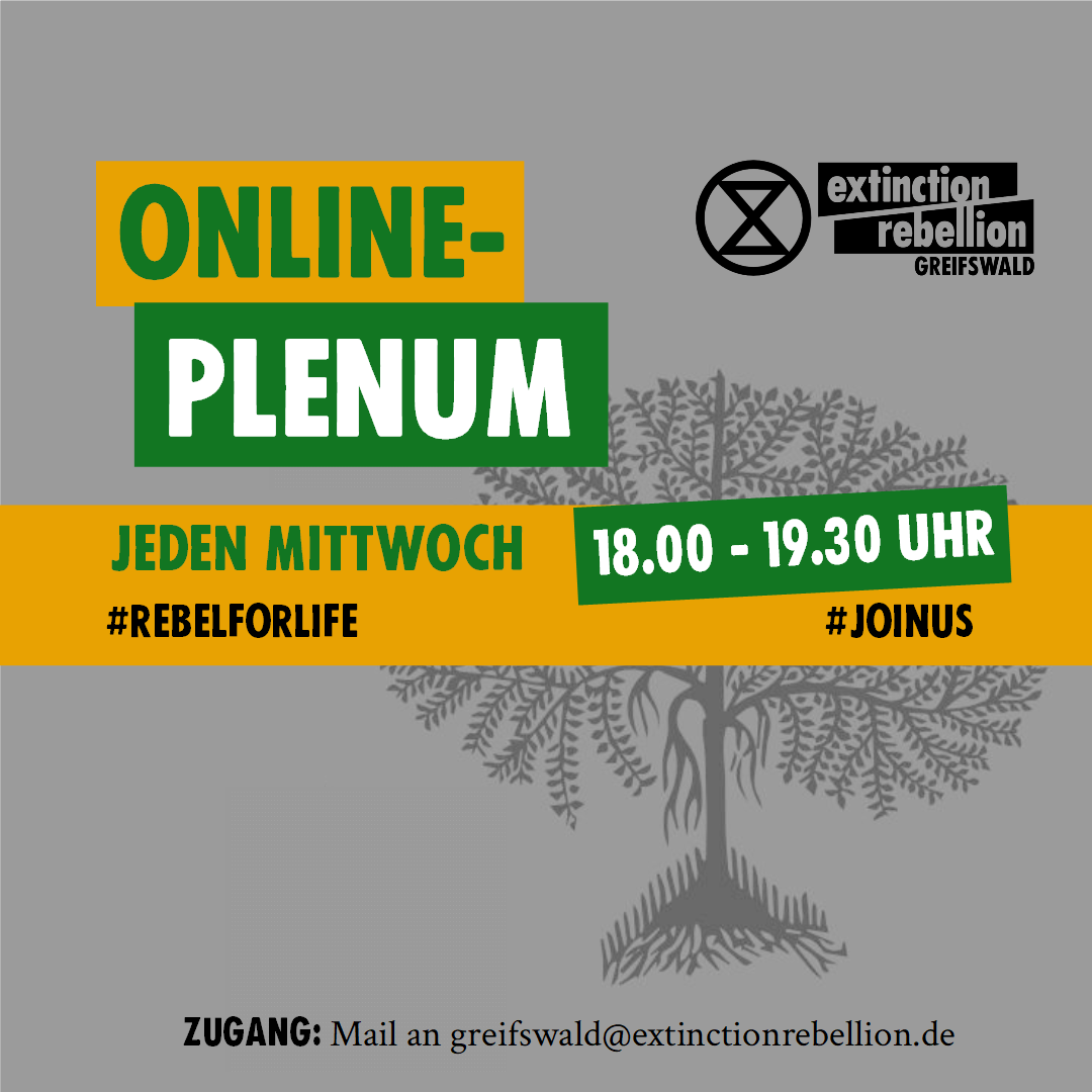 offenes Plenum - Online!