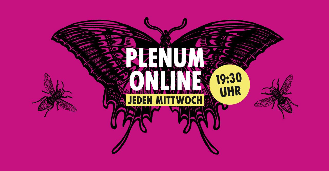 Plenum Online (Zoom)