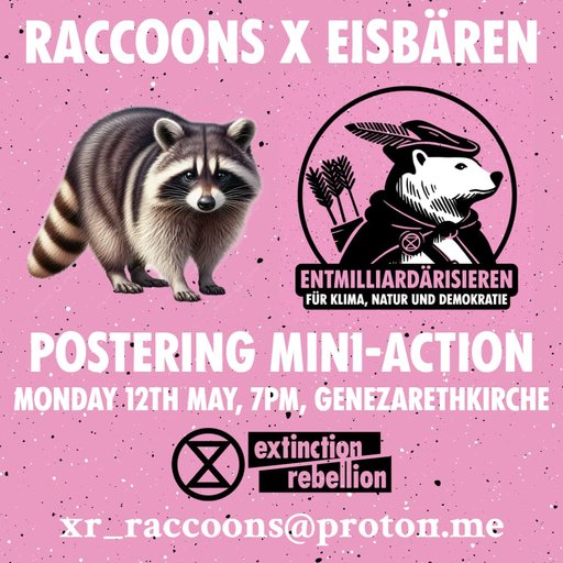 Raccoons mini-action