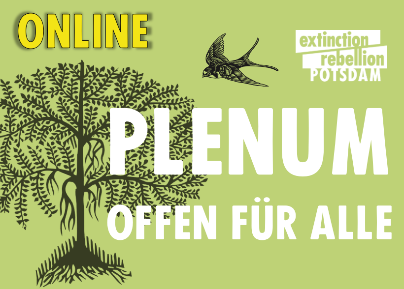 online Plenum - offen für Alle