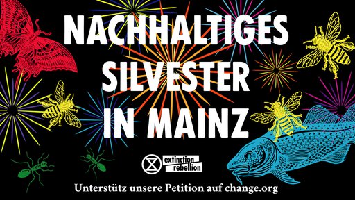 Tausende Mainzer:innen fordern Verbot von privatem Feuerwerk