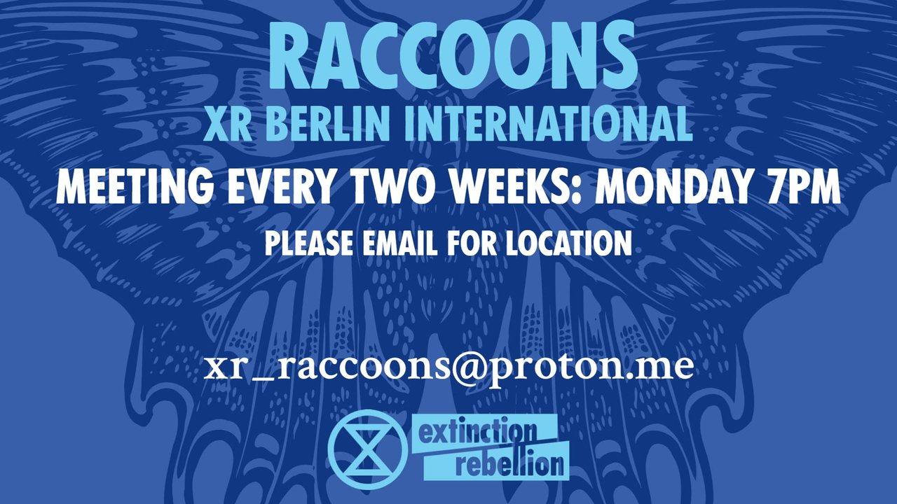 XR Berlin International (Raccoons)