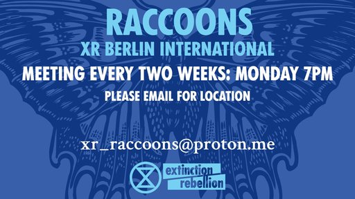 XR Berlin International (Raccoons)