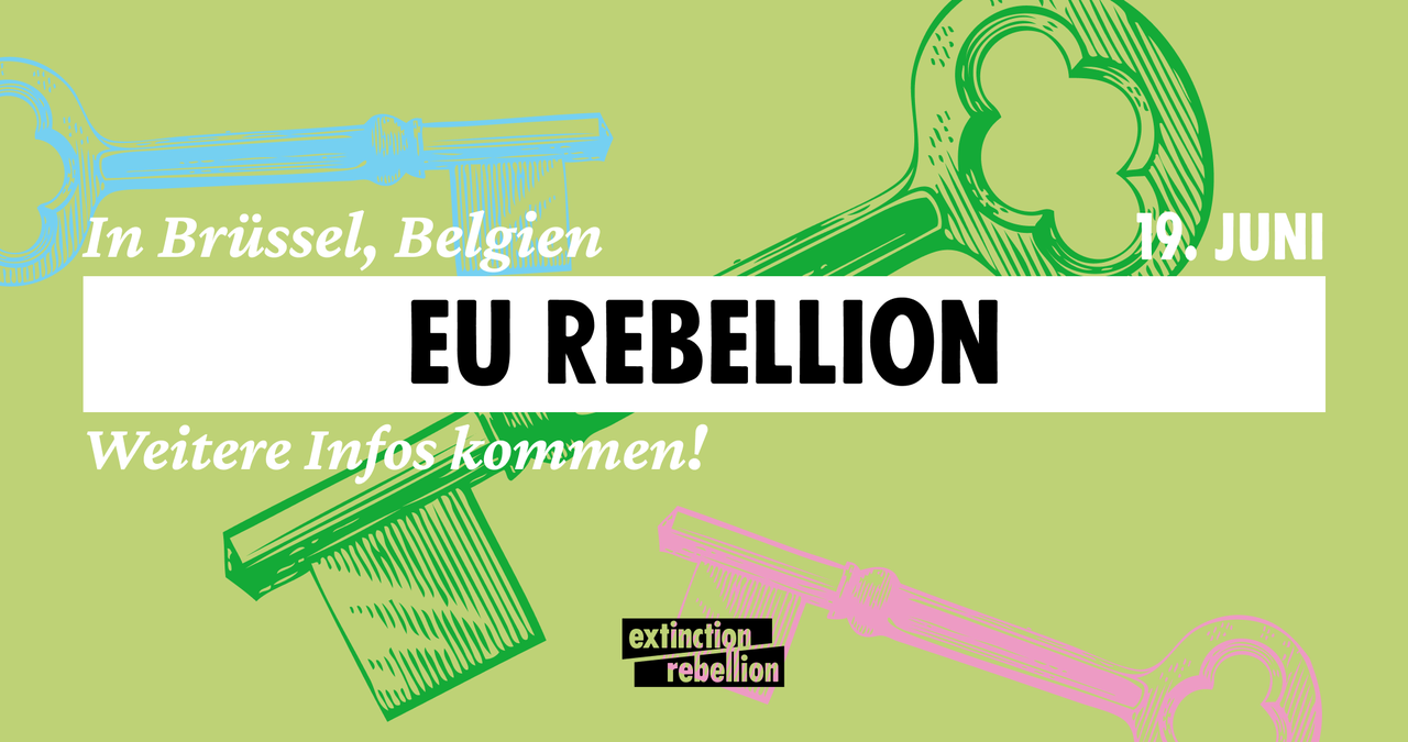 EU Rebellionstag in Brüssel