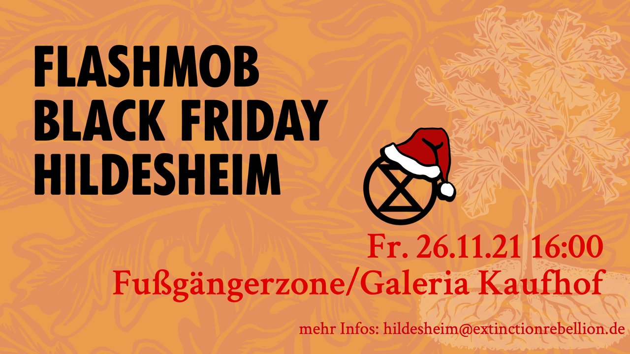 Flashmob Black Friday Hildesheim