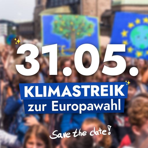 FFF-Klimastreik zur Europawahl! 🇪🇺