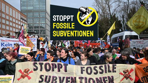 Stoppt Fossile Subventionen