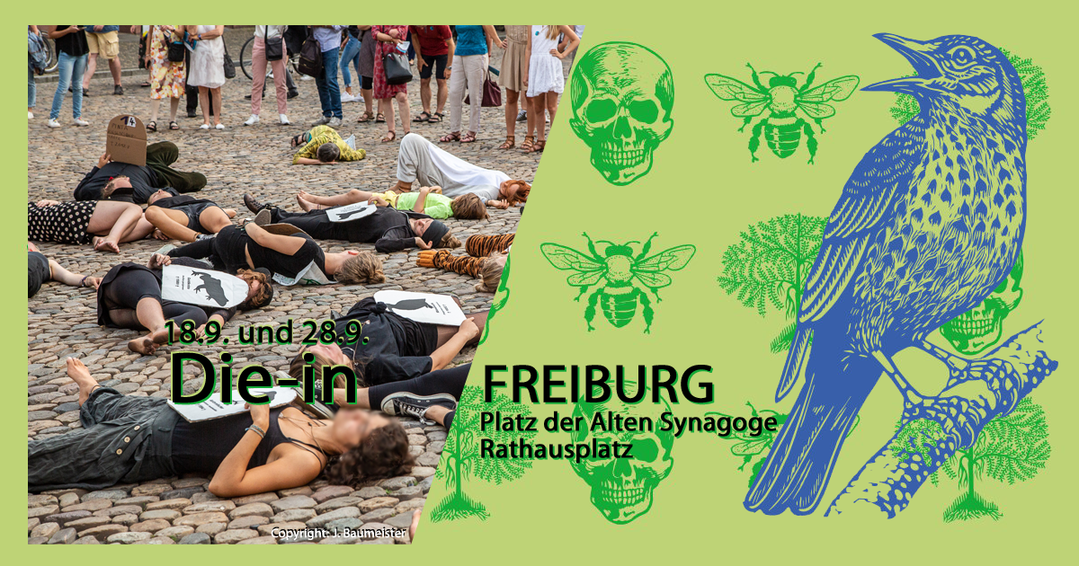 Die-in in Freiburg