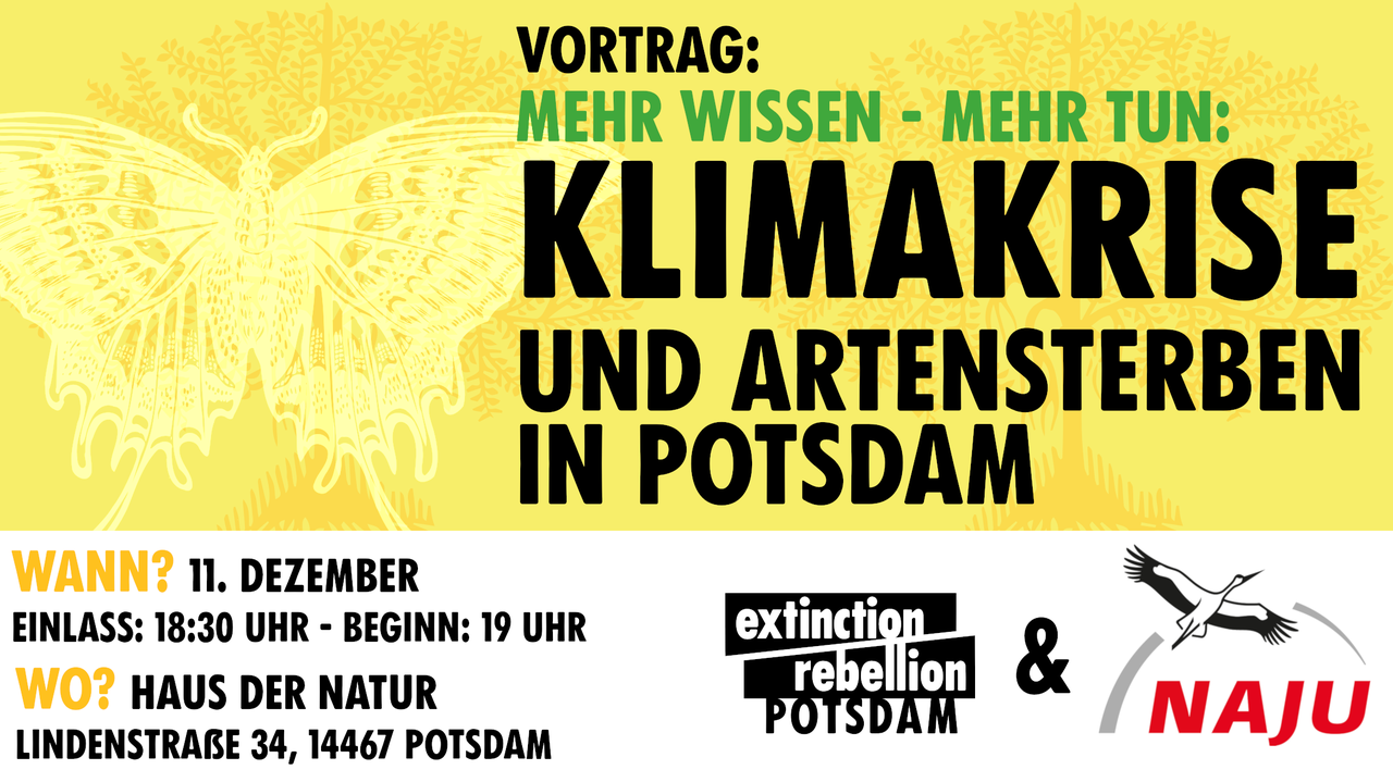 Mehr wissen - mehr tun: Klimakrise und Artensterben in Potsdam